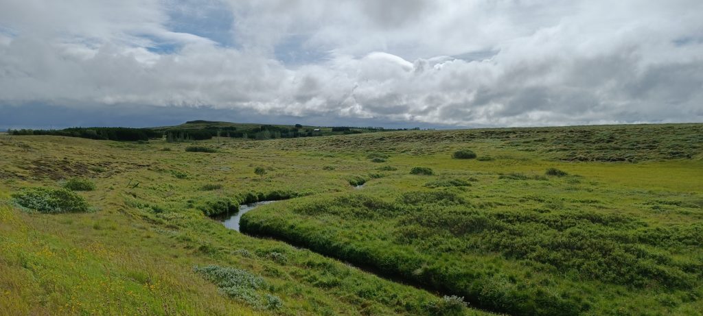 Andrea Devicenzi Selfoss Vik